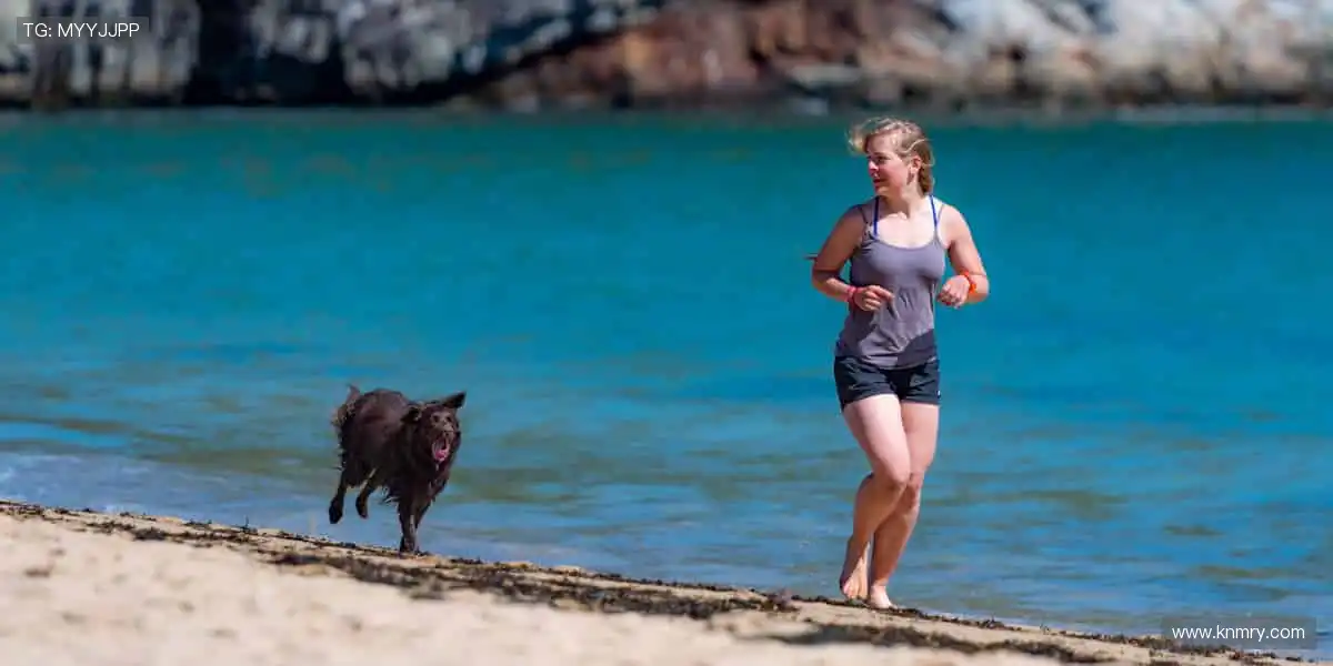 🎙️深度解读,冠军之路!🏆揭秘赛场背后的热血与汗水!